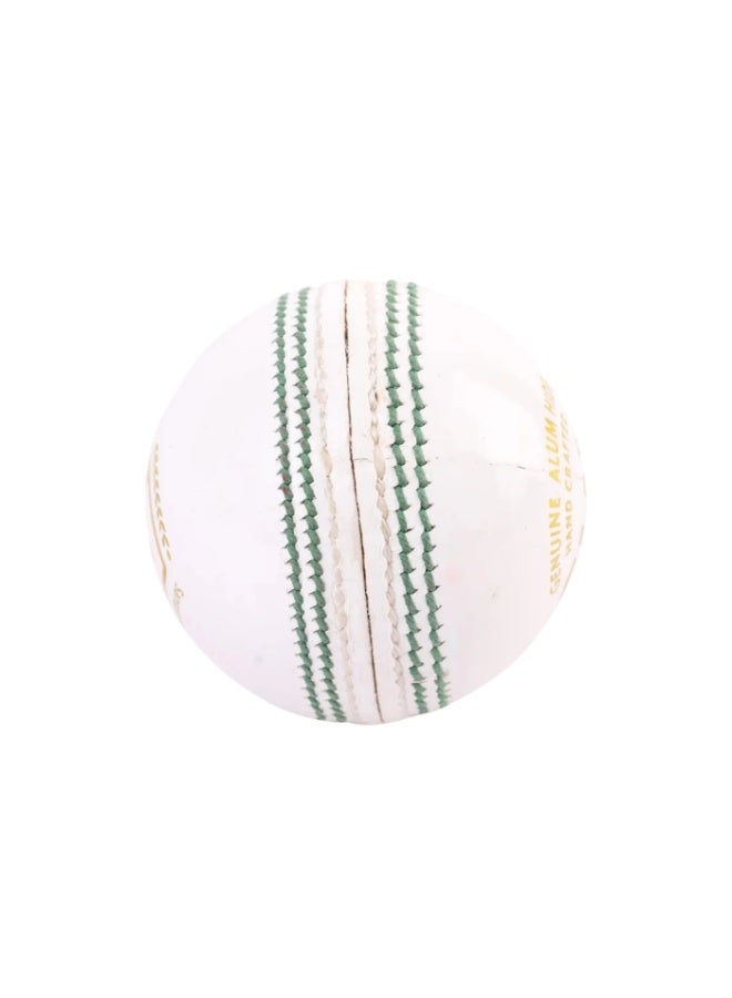 إس جي كرة كريكيت بيضاء من جلد الألوم الأصلي المصنوع يدويًا للصغار من نادي إس جي (صدق. كن) - Image 3