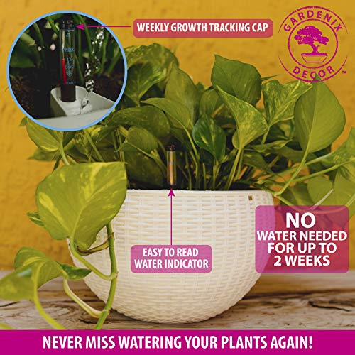 GARDENIX DECOR 11'' Self Watering Hanging planters for Indoor Plants - Flower Pot with Water Level Indicator for Plants, Hanging pots - Self Watering Planter Plant Pot-Coco Coir- Round 1 Pack - White - Image 5