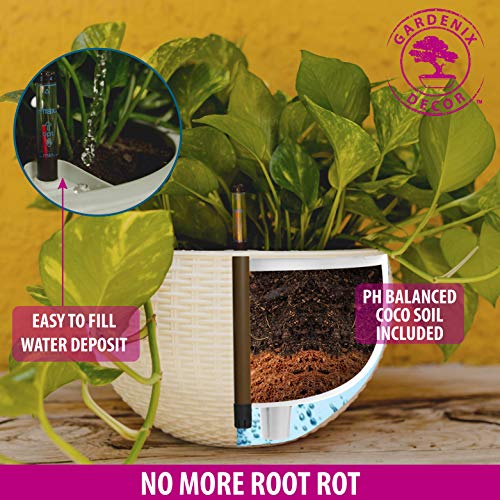 GARDENIX DECOR 11'' Self Watering Hanging planters for Indoor Plants - Flower Pot with Water Level Indicator for Plants, Hanging pots - Self Watering Planter Plant Pot-Coco Coir- Round 1 Pack - White - Image 4