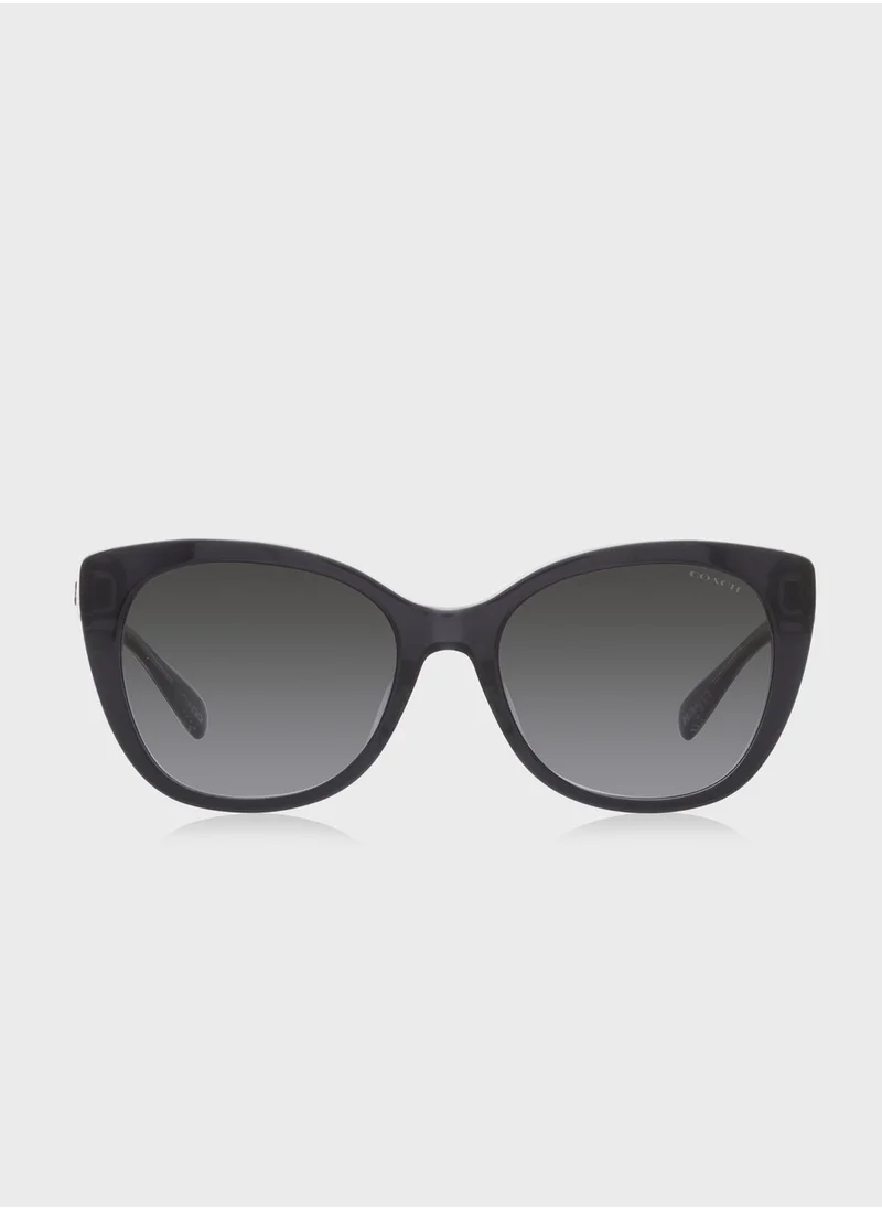 COACH 0Hc8365U Oversized Sunglasses