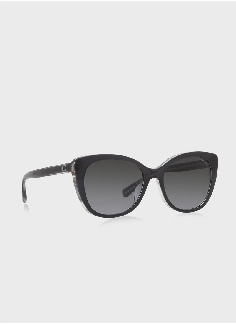 COACH 0Hc8365U Oversized Sunglasses