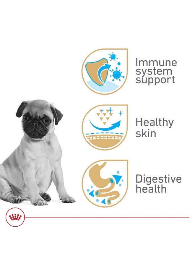 رويال كانين طعام جاف خاص بالكلاب من رويال كانين باج، كيس 2.5 رطل - Image 4