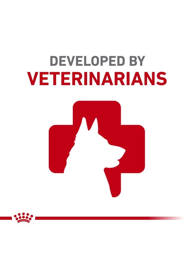 رويال كانين طعام جاف خاص بالكلاب من رويال كانين باج، كيس 2.5 رطل - Image 3