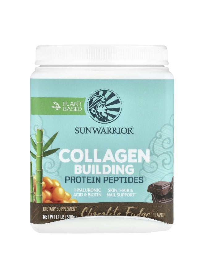 Sunwarrior, Collagen Building Protein Peptides, Chocolate Fudge, 1.1 lb (500 g) - Image 1