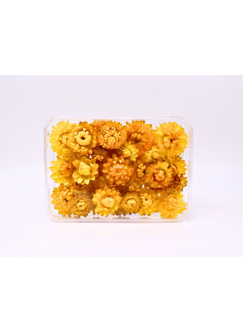 FANCY FLOWERS FANCY Natural Dried Helichrysum Flowers – Dry Floral Decor for Home Decoration Crafts, Weddings & Home Décor – Assorted Colours (White, Pink, Yellow) – Bulk Dried Flowers in Gift Box AVAILBLE IN DIFFRENT SIZE SMALL, Medium, large, round 2 extra-large Description  all those flowers grow by FANCY FLOWERS EGYPT
