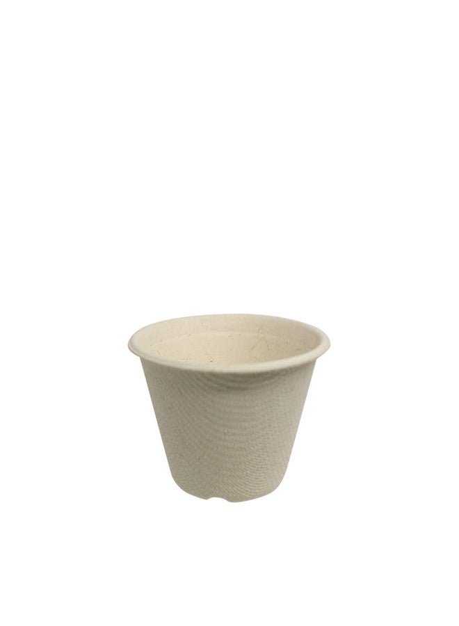 World Centric 100% Compostable Portion Cups by World Centric, Made from Unbleached Plant Fiber, Souffle/Portion Cups, 2 oz (Pack of 2000) - Image 1