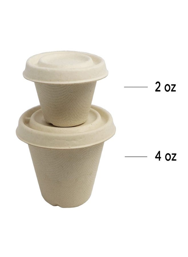 World Centric 100% Compostable Portion Cups by World Centric, Made from Unbleached Plant Fiber, Souffle/Portion Cups, 2 oz (Pack of 2000) - Image 2