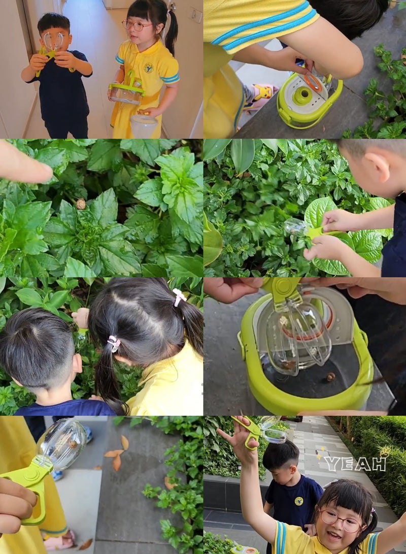 ميدير صندوق مراقبة المخلوقات المتعدد الإستعمالات (ميدلان - Image 2