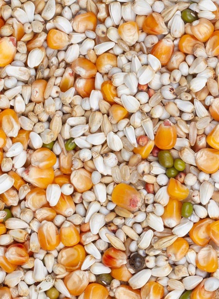 Byers Premium Vandenabeel Pigeon Food Mix 20 kg