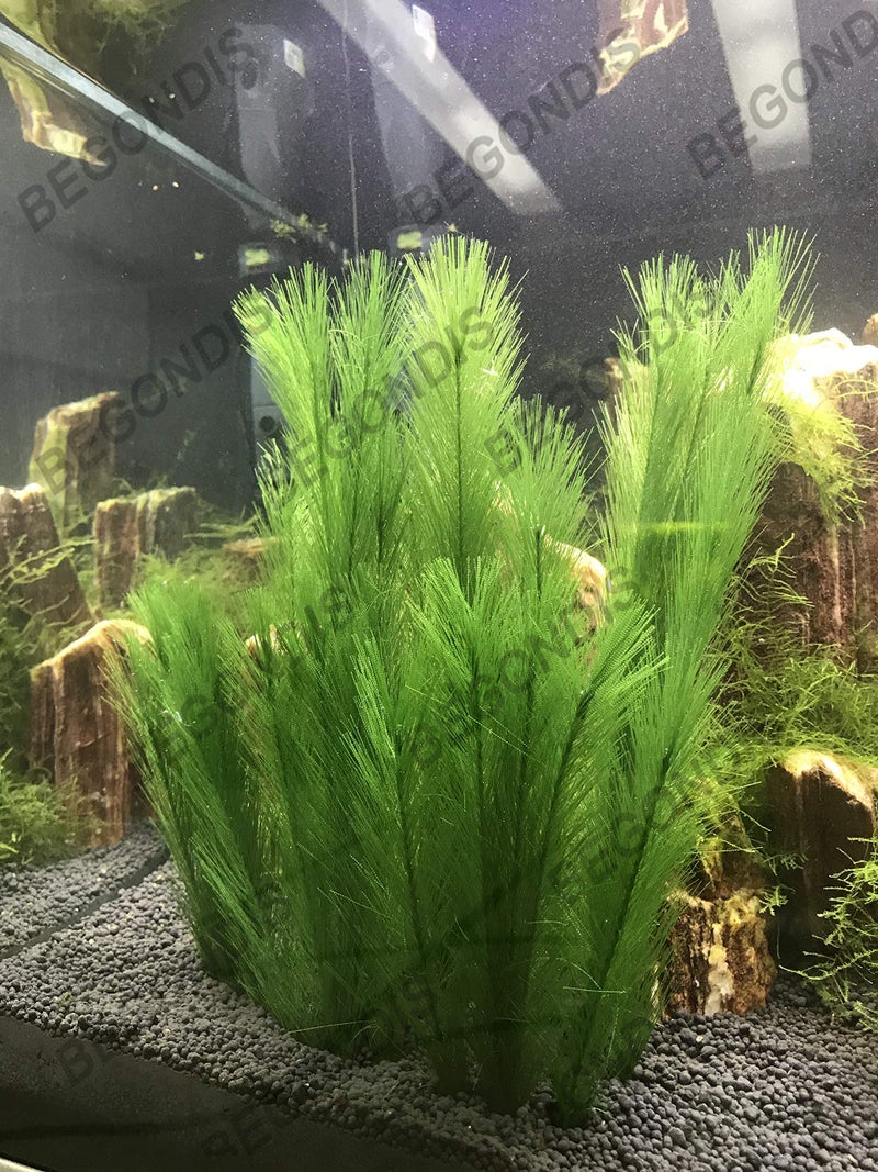 BEGONDIS Aquarium Decorations 3Pcs Fish Tank Artificial Green Water Plants Made of Silk Fabrics Plastic - Image 5