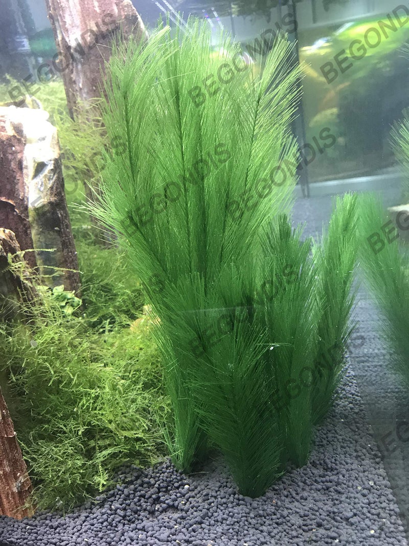 BEGONDIS Aquarium Decorations 3Pcs Fish Tank Artificial Green Water Plants Made of Silk Fabrics Plastic - Image 3