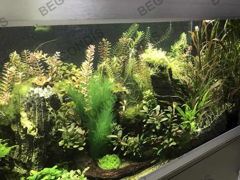 BEGONDIS Aquarium Decorations 3Pcs Fish Tank Artificial Green Water Plants Made of Silk Fabrics Plastic - Image 4