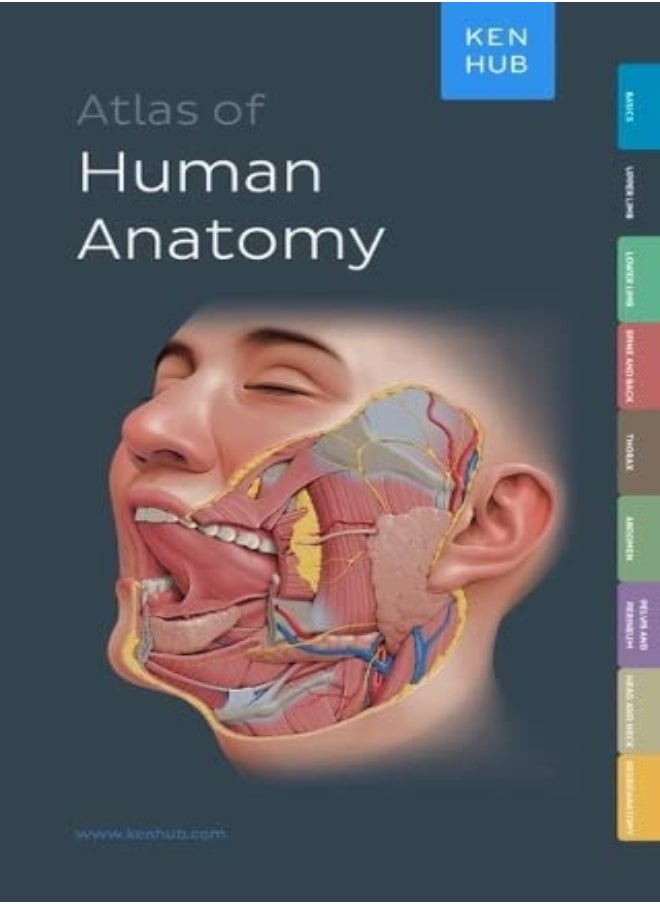 null - Kenhub Atlas Of Human Anatomy - Image 1