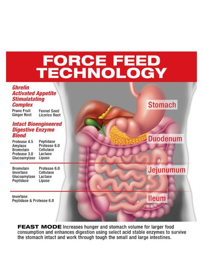 MUSCLEMEDS Feast Mode ,90 Capsules  - Image 2
