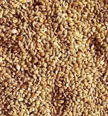 CHILLATAI Organic Premium Foxtail Millet || Kangni Seeds || 100% Natural Bird Food for All Life Stages Budgies, Finches, Canaries, Lovebirds, Cockatiels etc 400 Grams,Pack of 1 (2KG) - Image 2