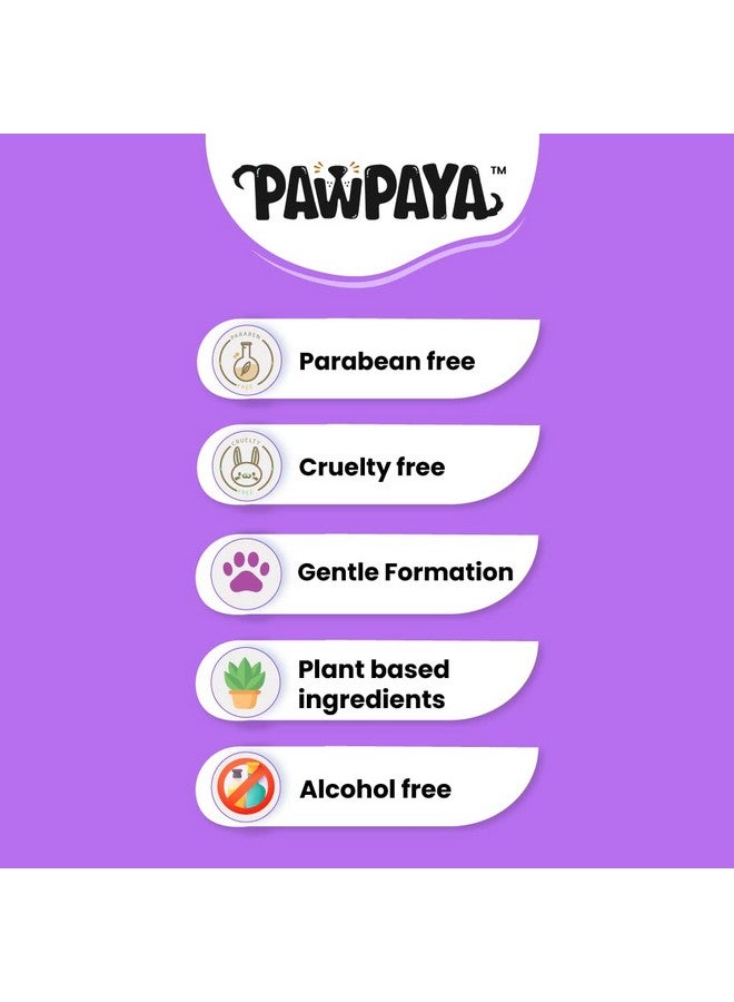 تريكسي وسادات للحماية مصممة للكلاب مثالية للتدريب المنزلي، 10 قطع (Xs) - عبوة واحدة ومناديل Pawpaya Every Day Pet Wipes المصنوعة لجميع القطط والكلاب - عبوة من 15 قطعة - Image 4