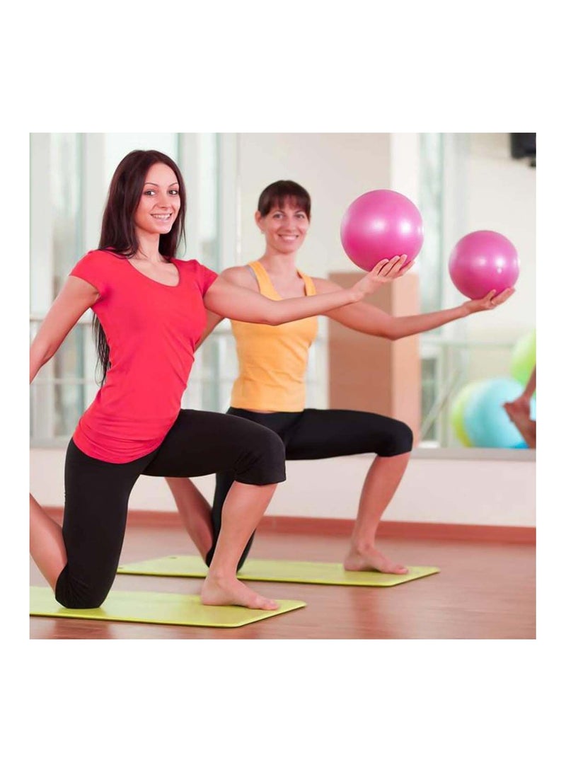 Y&D 2 pcs Soft Pilates Balls 25CM Exercise Balance Ball Gym Fitness Perfect for Yoga Core Training and Physical Therapy Pink Purple - Image 2