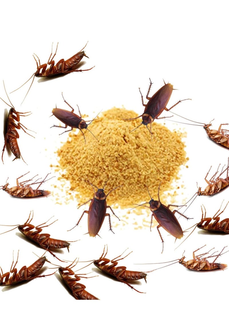 Miezhang Qing Cockroach  powder 10 pieces 8g  - Image 2