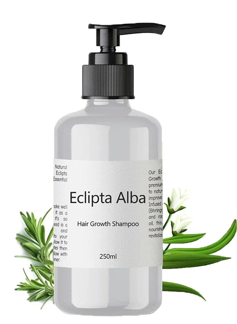 Generic Eclipta Alba Hair Growth Shampoo, Eclipta Alba Shampoo, Eclipta Alba Oil, Natural Organic Bhringraj Shampoo, Anti Hair Loss Thickening Shampoo for Women & Men 250ml/8.4oz (1Pcs)  - Image 1