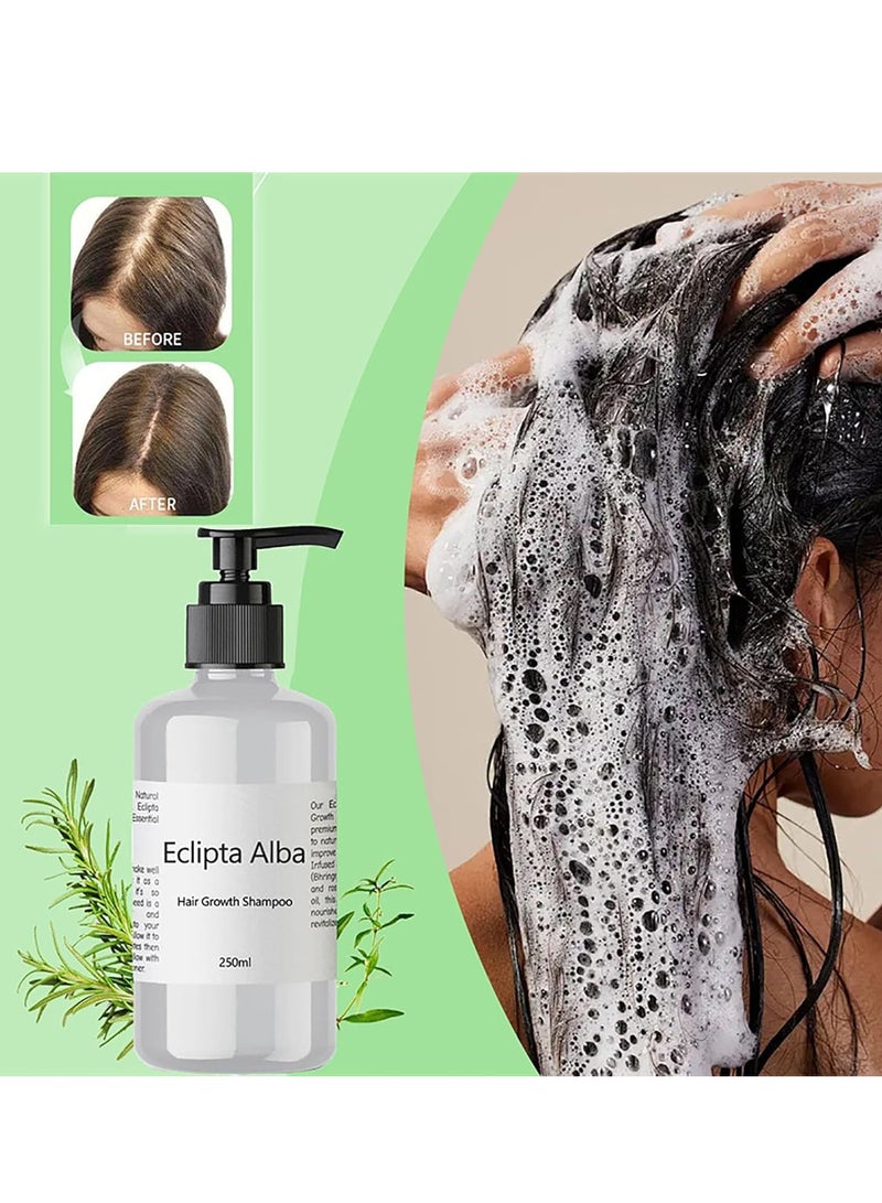 Generic Eclipta Alba Hair Growth Shampoo, Eclipta Alba Shampoo, Eclipta Alba Oil, Natural Organic Bhringraj Shampoo, Anti Hair Loss Thickening Shampoo for Women & Men 250ml/8.4oz (1Pcs)  - Image 2
