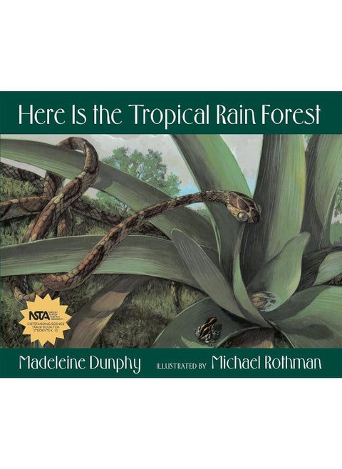 Here Is the Tropical Rain Forest