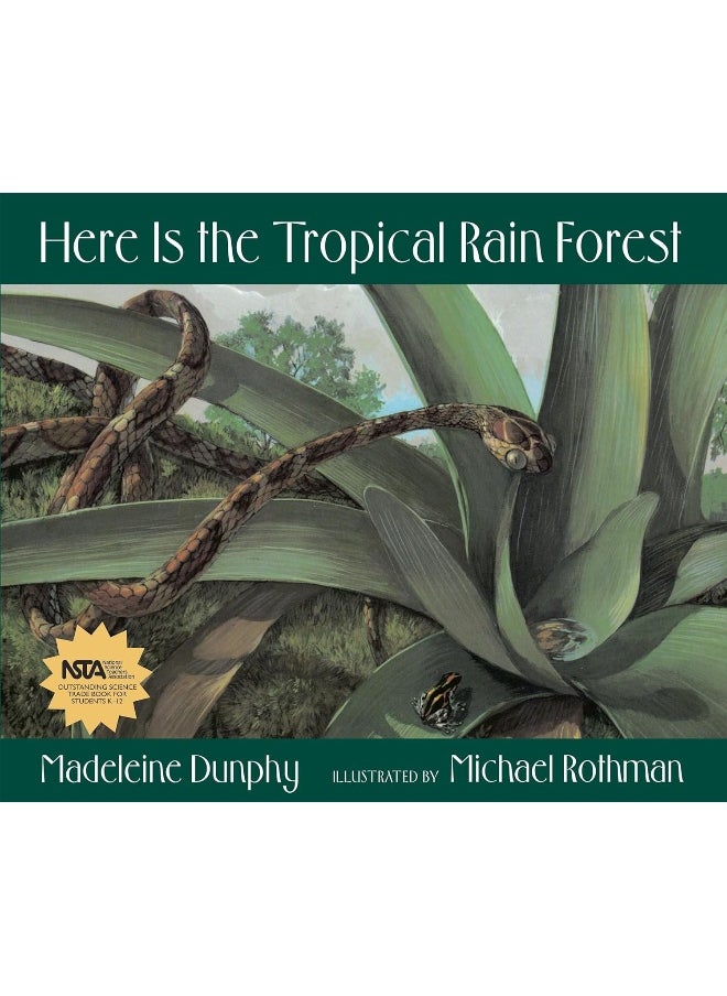 Here Is the Tropical Rain Forest