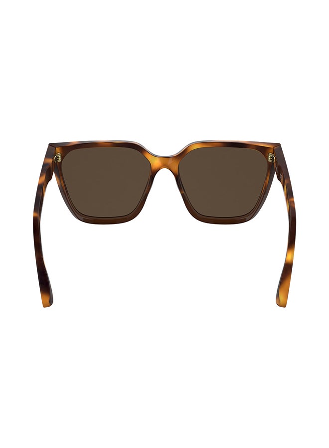 CALVIN KLEIN FULL RIM ACETATE CALVIN KLEIN SUN CK25500S 5716 (238) HAVANA/BROWN - Image 3