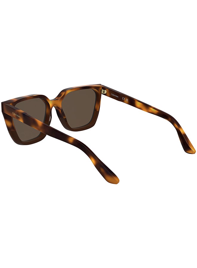 CALVIN KLEIN FULL RIM ACETATE CALVIN KLEIN SUN CK25500S 5716 (238) HAVANA/BROWN - Image 2