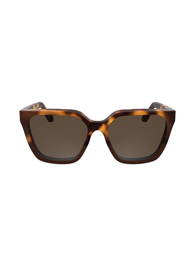 CALVIN KLEIN FULL RIM ACETATE CALVIN KLEIN SUN CK25500S 5716 (238) HAVANA/BROWN - Image 1