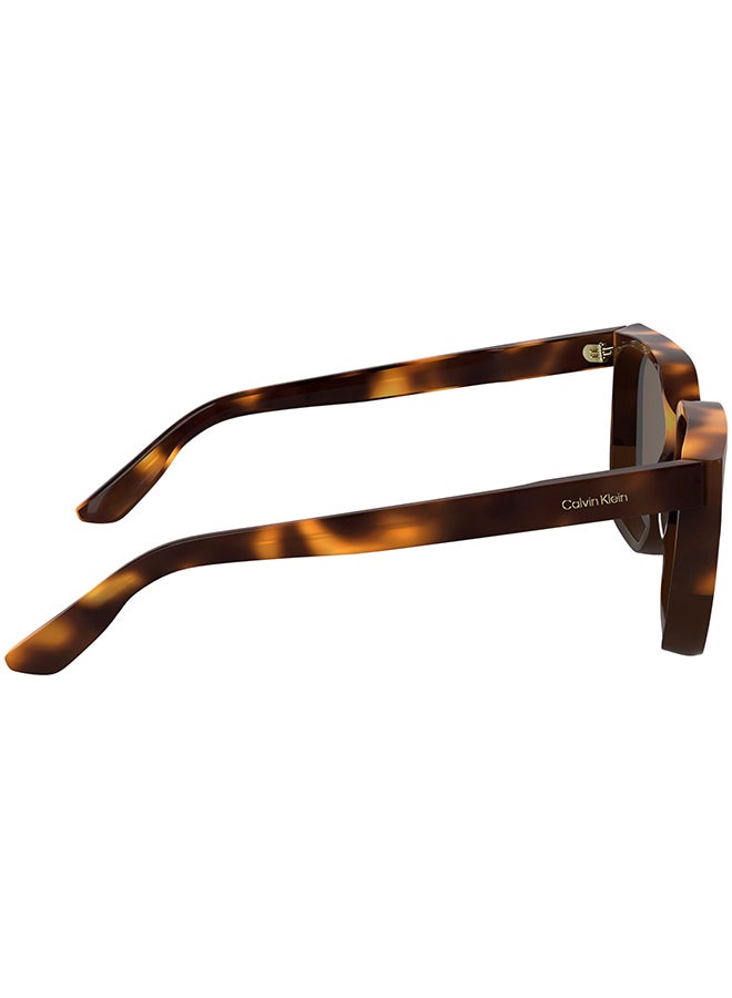 CALVIN KLEIN FULL RIM ACETATE CALVIN KLEIN SUN CK25500S 5716 (238) HAVANA/BROWN - Image 5
