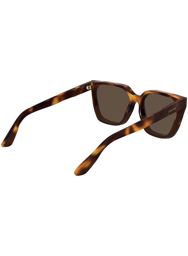 CALVIN KLEIN FULL RIM ACETATE CALVIN KLEIN SUN CK25500S 5716 (238) HAVANA/BROWN - Image 4