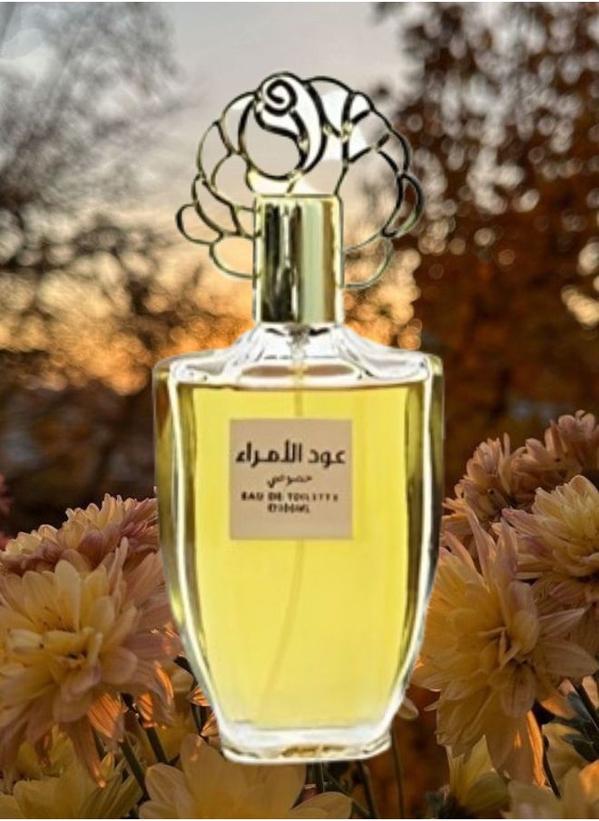 Oud Al Amraa Perfume 100ML - pzsku/Z0B8F0B7358E76DFF4E9EZ/45/_/1704393422/9c094ed9-5181-486a-a560-0570da47df98