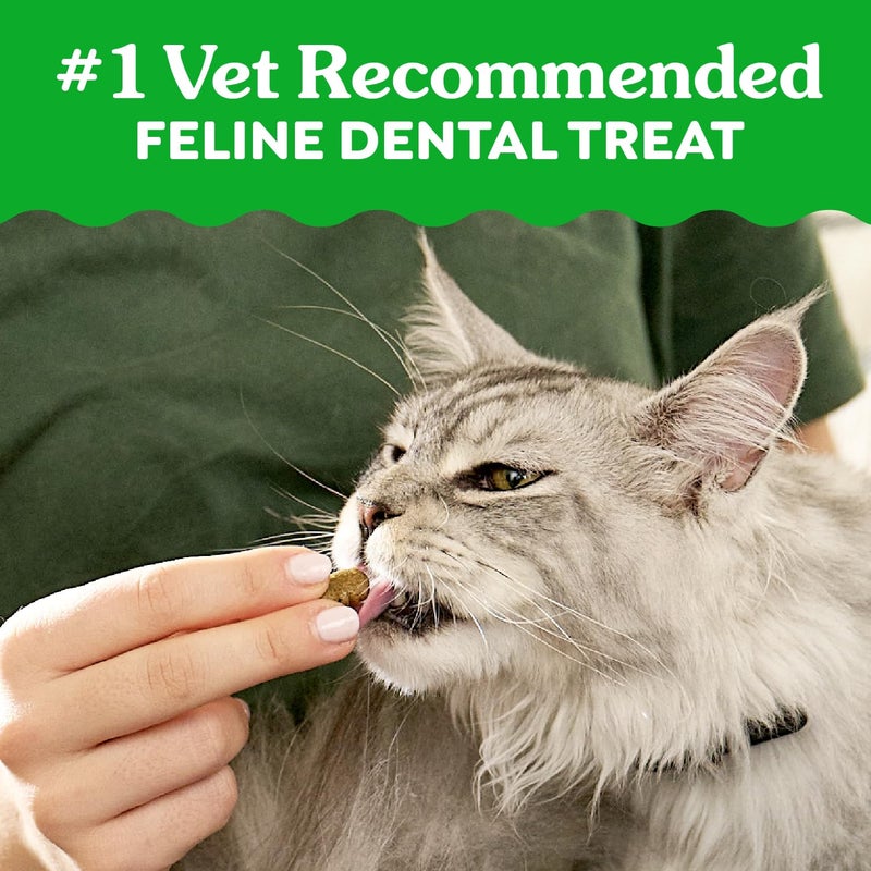 Greenies Feline Veterinarian-Recommended Adult Natural Dental Cat Treats, Savory Salmon Flavor, 9.75 oz. Tub - Image 2