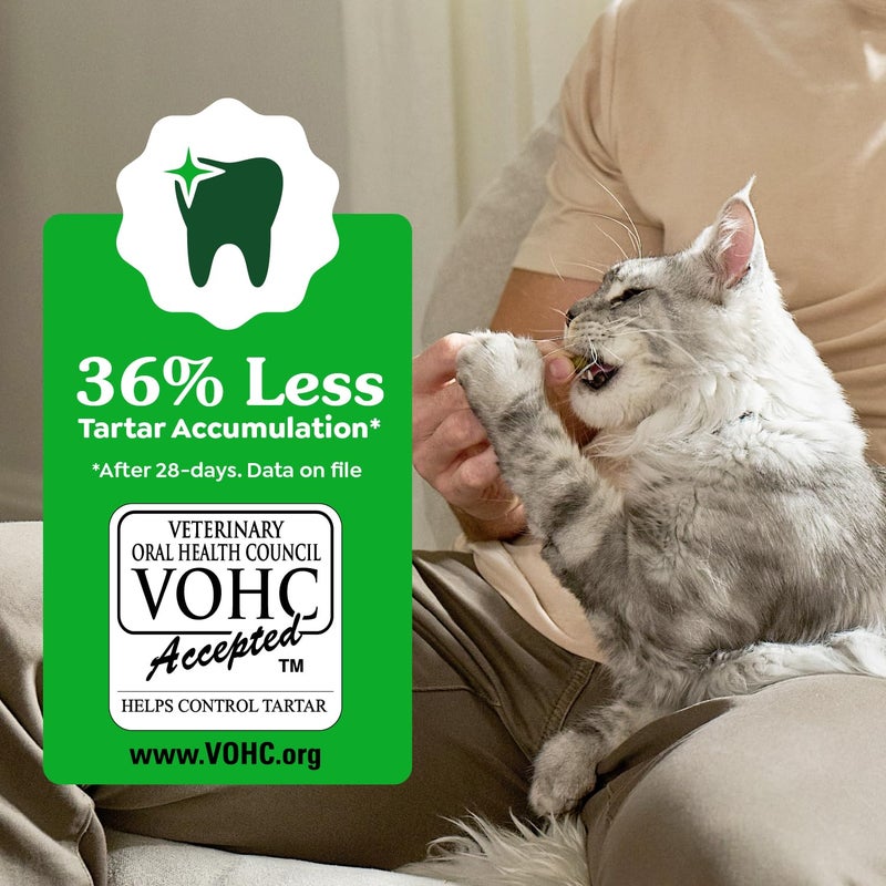 Greenies Feline Veterinarian-Recommended Adult Natural Dental Cat Treats, Savory Salmon Flavor, 9.75 oz. Tub - Image 4