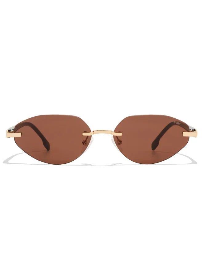 Blackout BlackOut CLARENCE