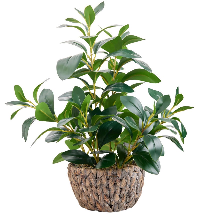 AlphaAcc 18.8 Inch Artificial Ficus Plant Indoor Faux Greenery Potted in Rattan Woven Basket Planter with Decorative Pebbles Realistic Fake Plant for Home Living Room Office Table Desk Shelf Decor - Image 1