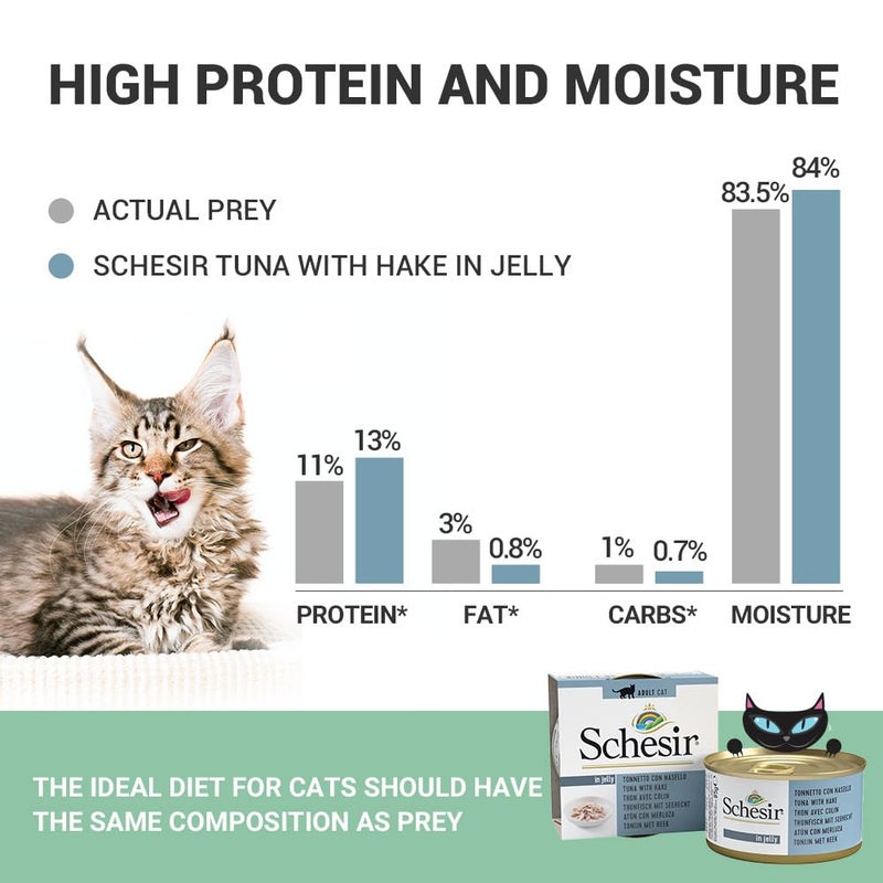 Schesir Tuna with Hake Wet Cat Food 85g + Kittos Chicken Jerky Strips 35g Natural Combo for Cats High Protein Complete Meal + Real Meat Treat All Breeds & Ages - Image 5
