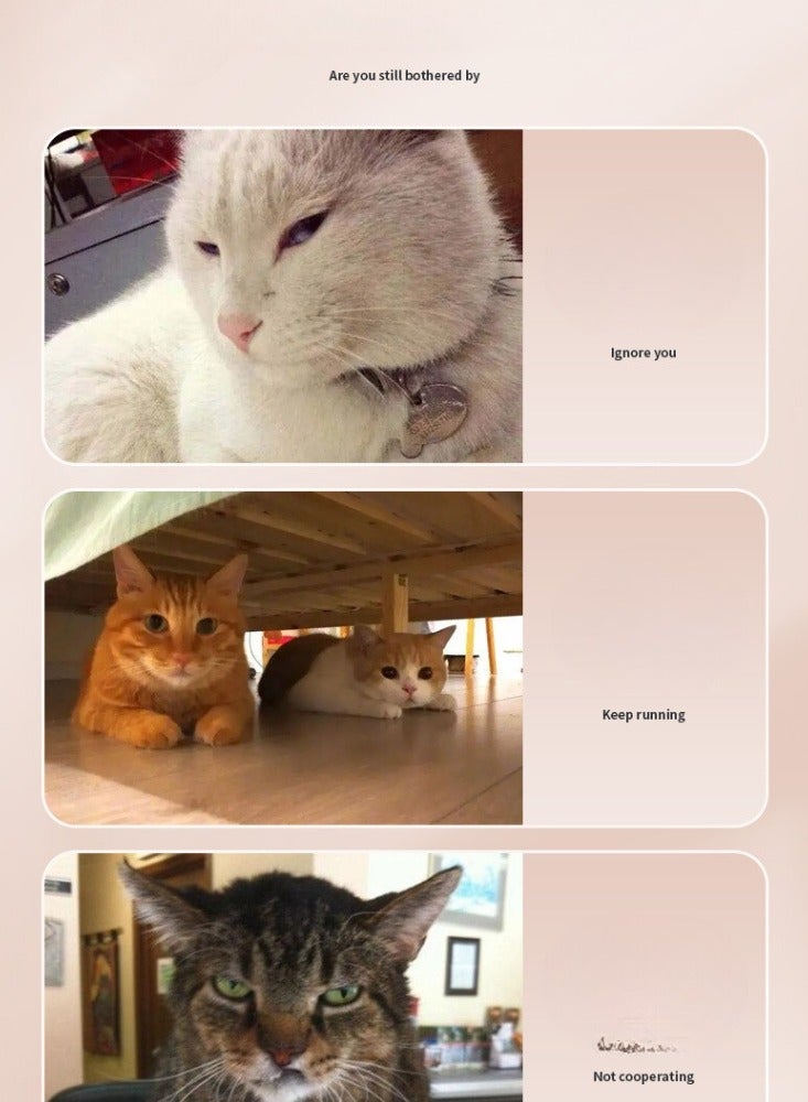 Engaging Pet Selfie Stick Toy for Cats & Dogs | Fun Interactive Moments - Image 3