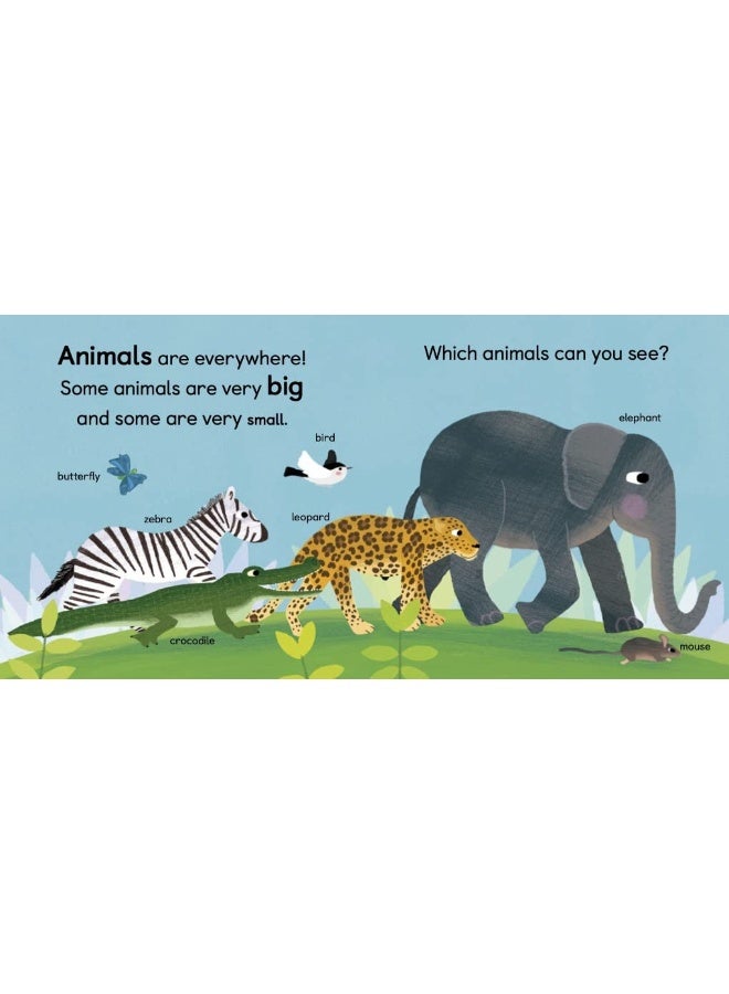 Zoology for Babies  - Image 4