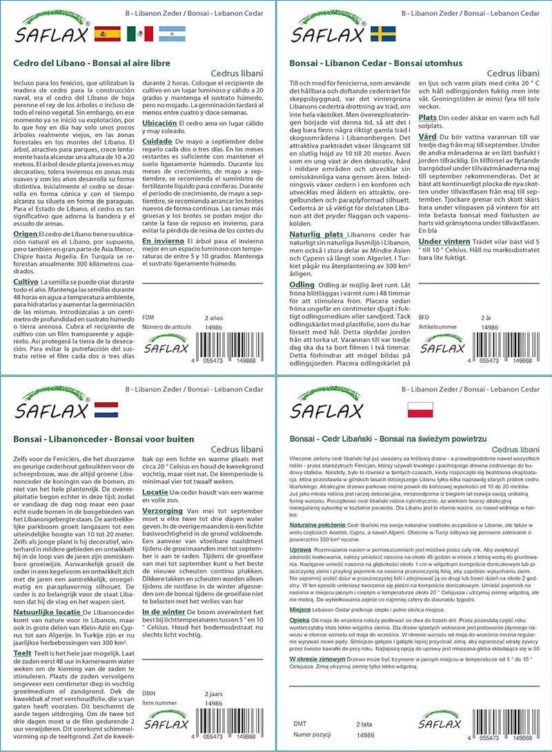 GGOOT Bonsai - Lebanon Cedar - 20 Seeds - with Soil - Cedrus libani - Image 4