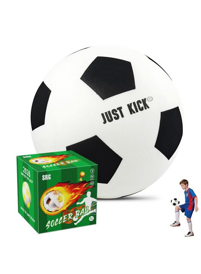 SRG Quiet Foam Soccer Ball Size 7 – Advanced Indoor Training Ball, Soft Lightweight Quiet Ball for Footwork & Dribbling, Noise-Free Premium Box Gift for Home Practice - Image 1