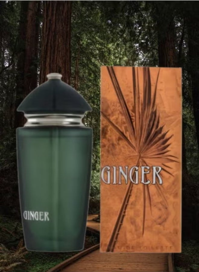 TRI 3 Pieces Ginger Perfume 100ML - Image 2