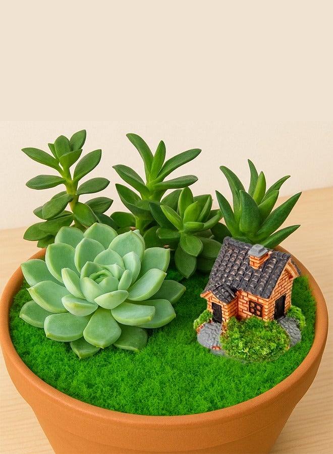 CSDONA Artificial Green Moss Grass With Mini House 50g Moss Faux Silk Moss For Flowerpot Fairy Garden Decor DIY Crafts - Image 3