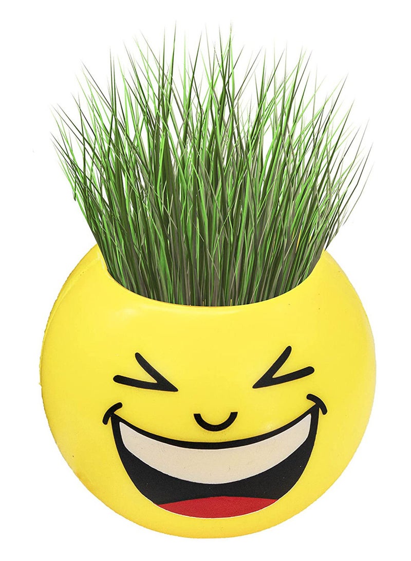 Small Planting Pot With Soil And Seeds For Kids - Image 1