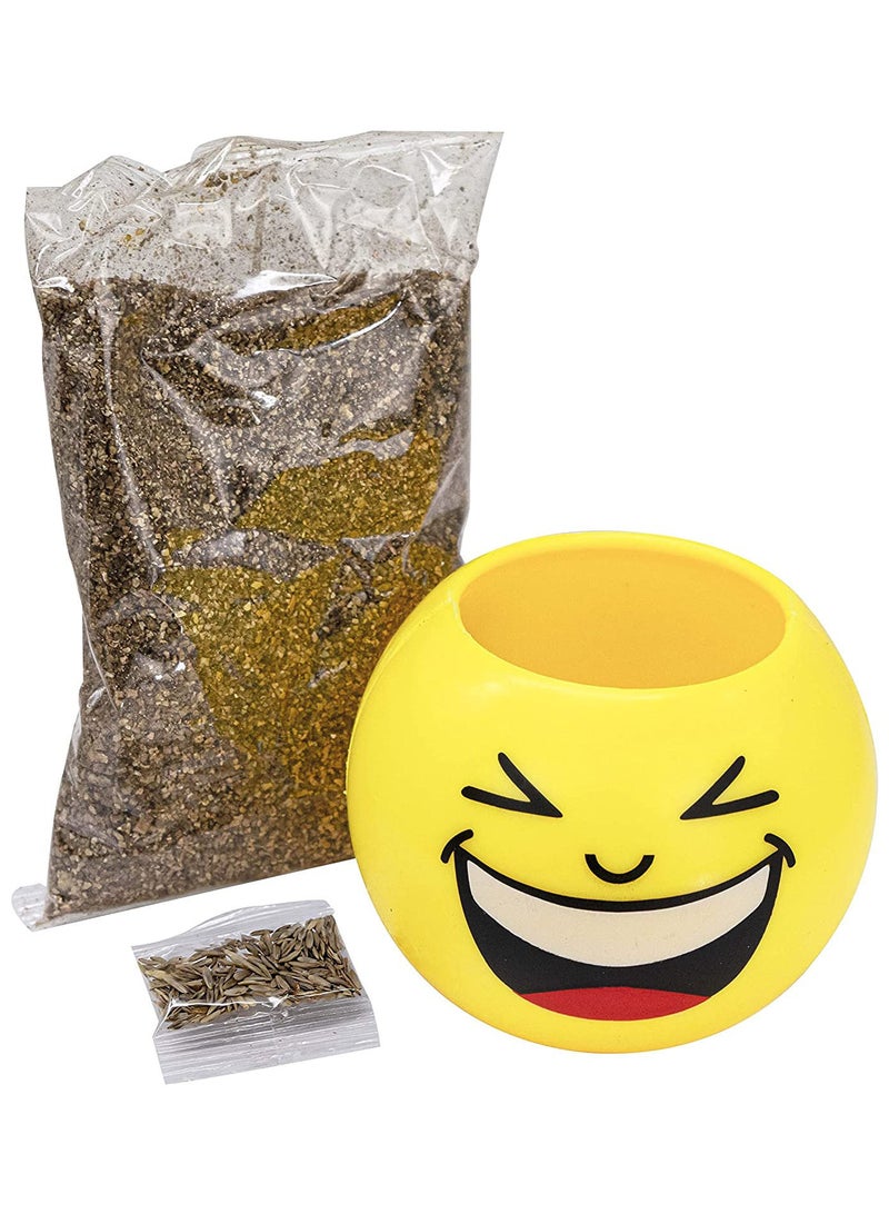 Small Planting Pot With Soil And Seeds For Kids - Image 2