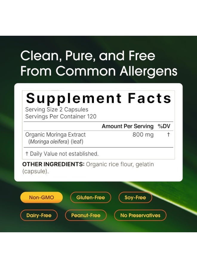 NatureBell Moringa Capsules 8000mg Per Serving, 240 Capsules | 4 Month Supply, Made with Moringa Powder Organic | Green Superfood, Skin Health & Immune Support | Non-GMO, Gluten Free - Image 2