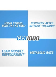 Evlution Conjugated Linoleic Acid CLA Pills - CLA 1000mg Diet Pills to Support Weight Loss Fat Burning Lean Muscle and Faster Metabolism - Stimulant-Free CLA 1000mg Safflower Based Fat Loss Support Pills - 90  - Image 5