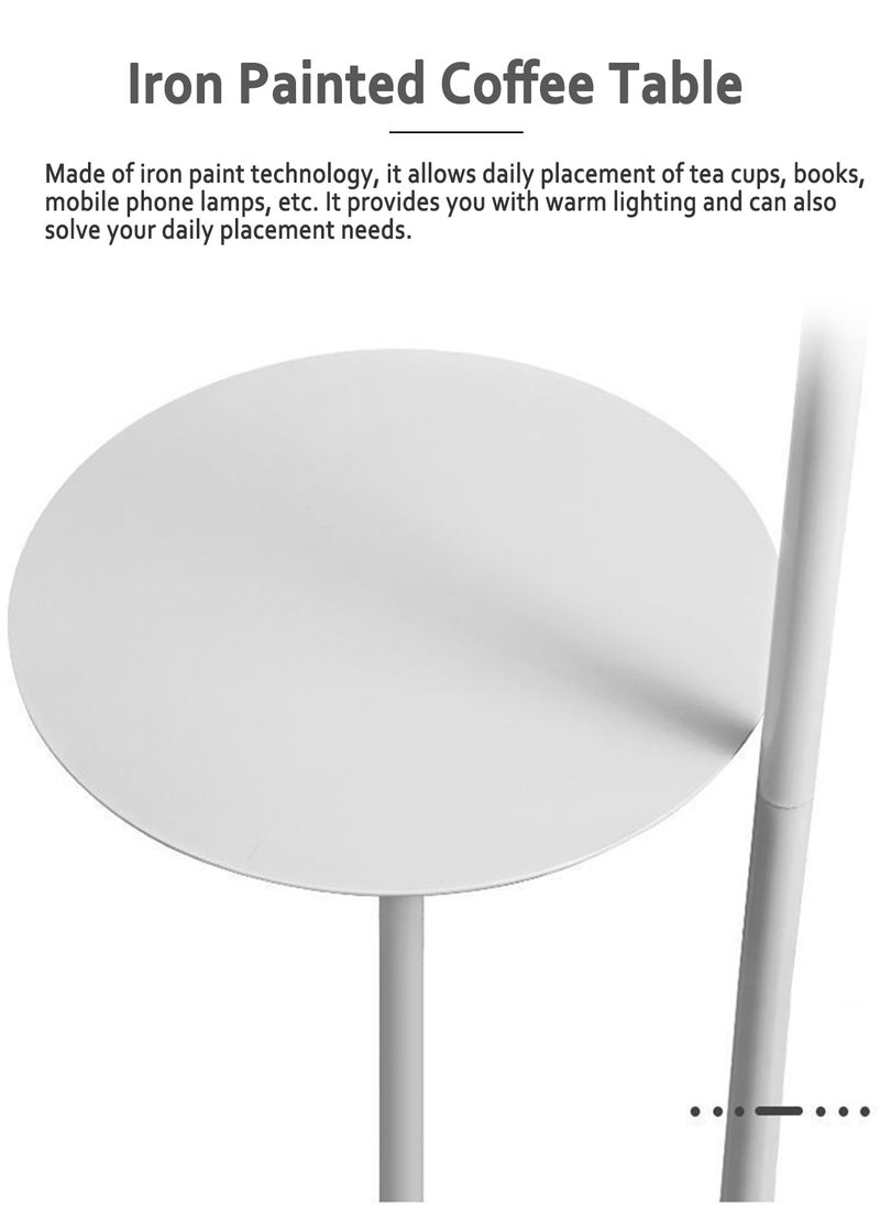 Onelight - Modern Petal Tricolor Dimming Floor Lamp With Shelf Versatile Iron Art LED Standing Lamp With Table For Living Room Bedroom Sofa Side Floor Lighting With Shelf 12W - Image 1