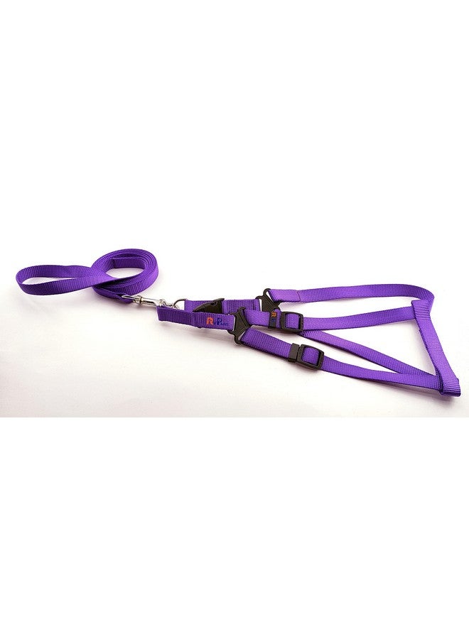 15 Mm Nylon Leash With Harness 0.5 Inch Adjustable Nylon Harness Set Ideal For Small Breed Dog & Puppies - Purple - Image 1