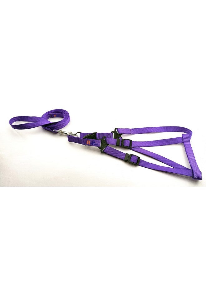 15 Mm Nylon Leash With Harness 0.5 Inch Adjustable Nylon Harness Set Ideal For Small Breed Dog & Puppies - Purple - Image 2